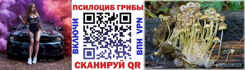 хочу наркоту  Чита  МЕГА tor  Псилоцибиновые грибы ЛСД 
