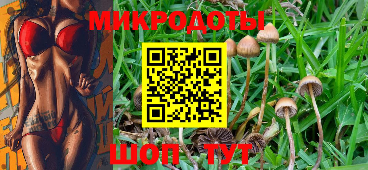 Псилоцибиновые грибы Psilocybe Чита