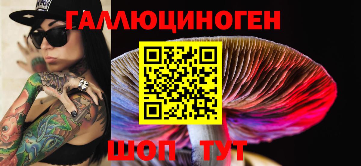 Чита  Галлюциногенные грибы Cubensis  Вход с VPN 